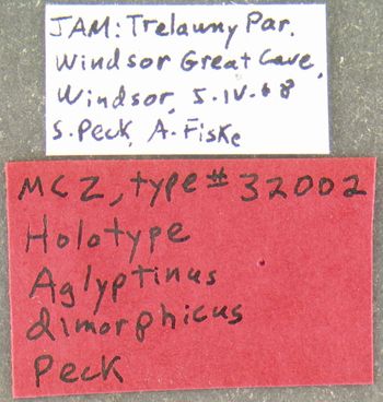 Media type: image;   Entomology 32002 Aspect: labels